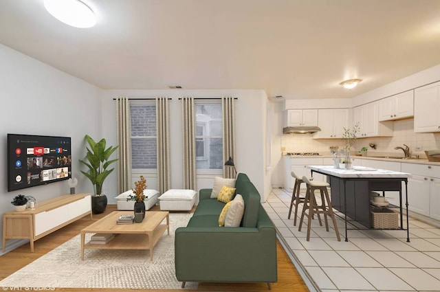 238 W 31st St Unit 2W, Chicago, IL 60616 - living room featuring light wood-type flooring