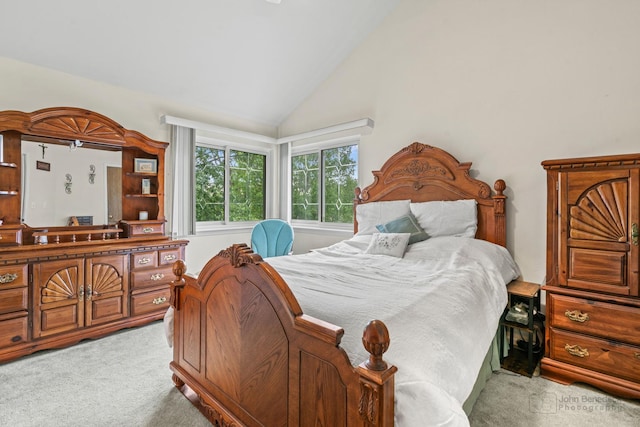 7 Farmington Ct, Lake In The Hills, IL 60156 - bedroom with carpet floors and high vaulted ceiling