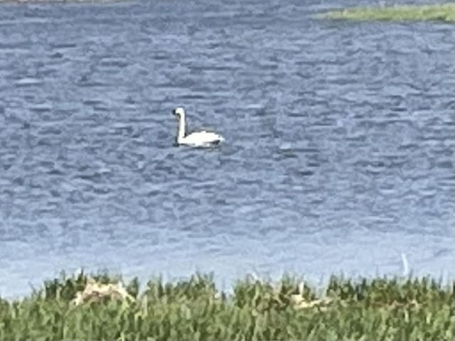 7 Farmington Ct, Lake In The Hills, IL 60156 - water view