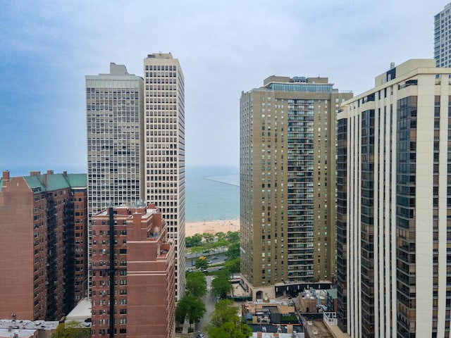 33 E Cedar St Unit 6B, Chicago, IL 60611 - view of city featuring a large body of water