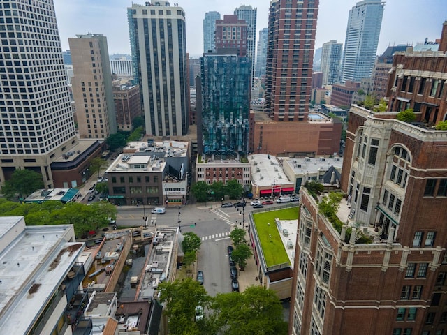 33 E Cedar St Unit 6B, Chicago, IL 60611 - view of city