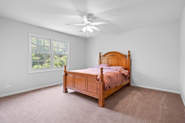 2311 Leverenz Rd, Naperville, IL 60564 - photo 15
