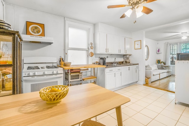 2608 W Luther St, Chicago, IL 60608 - photo 17
