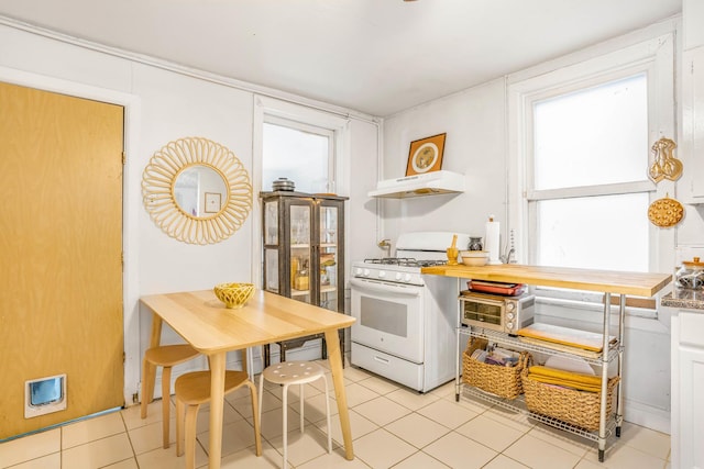 2608 W Luther St, Chicago, IL 60608 - photo 18