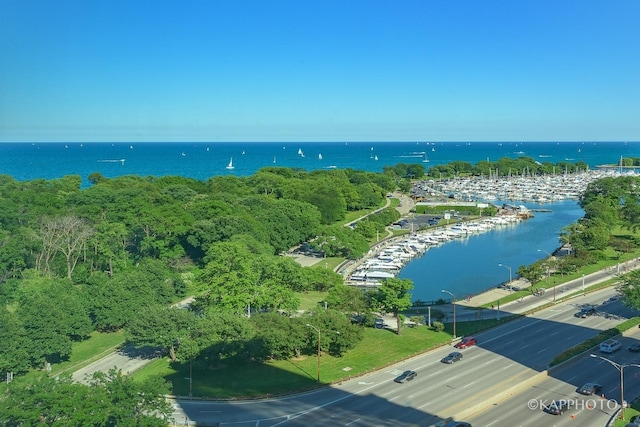 3600 N Lake Shore Dr Unit 1603, Chicago, IL 60613 - aerial view of a nearby body of water
