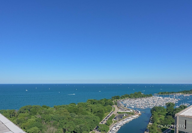 3600 N Lake Shore Dr Unit 1603, Chicago, IL 60613 - water view