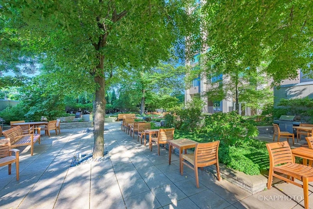 3600 N Lake Shore Dr Unit 1603, Chicago, IL 60613 - view of patio featuring area for grilling and outdoor dining area