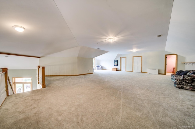 13100 Fox Ln, Lemont, IL 60439 - photo 43
