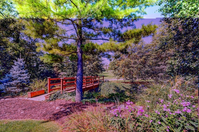 13100 Fox Ln, Lemont, IL 60439 - photo 87