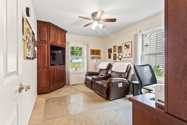 2910 Greystone Pl, Champaign, IL 61822 - office space with light colored carpet and ceiling fan