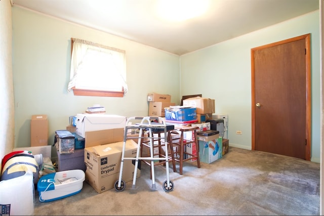 3604 Owl Dr, Rolling Meadows, IL 60008 - view of storage room