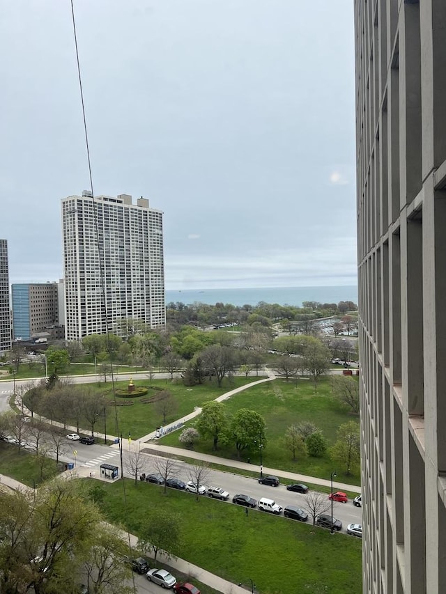 2626 N Lakeview Ave Unit 1509, Chicago, IL 60614 - water view with nearby urban area