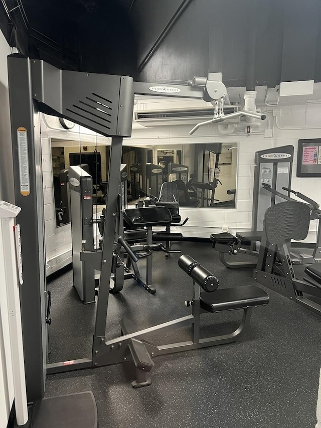 2626 N Lakeview Ave Unit 1509, Chicago, IL 60614 - view of gym