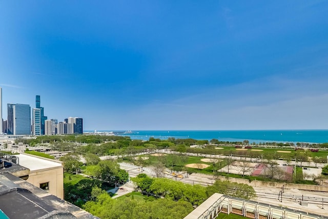 888 S Michigan Ave Unit 601, Chicago, IL 60605 - view of urban area with a large body of water