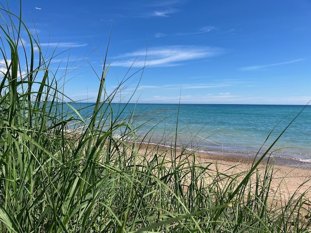 1114 W Pratt Blvd Unit 3S, Chicago, IL 60626 - water view with local beach