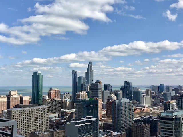 235 W Van Buren St Unit 4206, Chicago, IL 60607 - skyline view featuring a nearby body of water