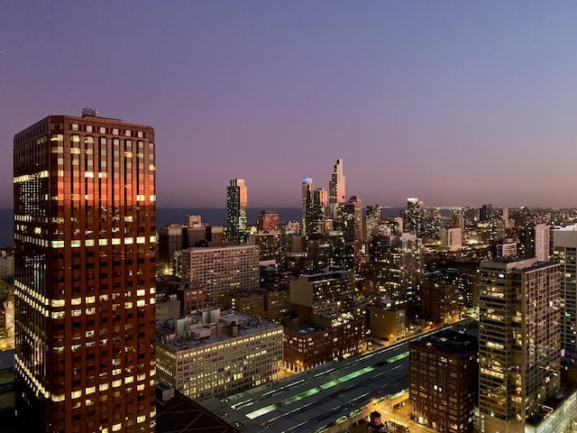 235 W Van Buren St Unit 4206, Chicago, IL 60607 - city view