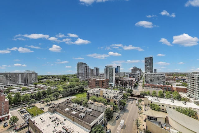 1464 S Michigan Ave Unit 1404, Chicago, IL 60605 - view of city