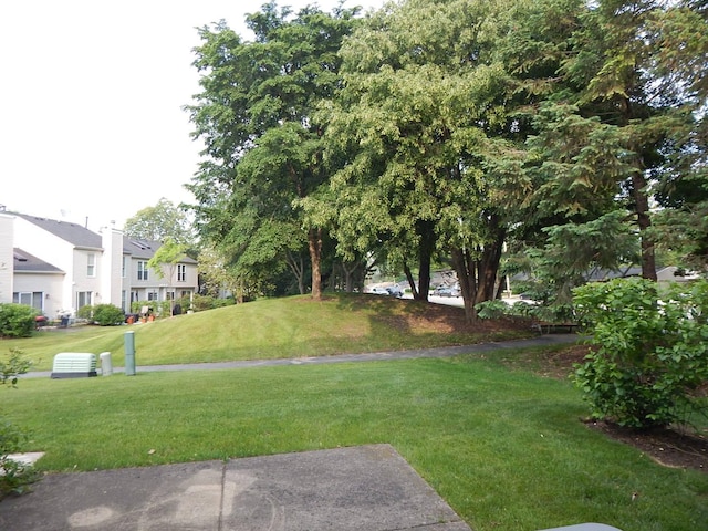 1 N Oltendorf Rd, Streamwood, IL 60107 - view of grassy yard