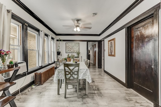 6142 S Richmond St, Chicago, IL 60629 - dining area with radiator heating unit, ceiling fan, crown molding, baseboards, and light wood-type flooring