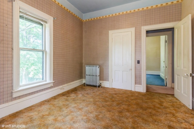 100 E Miller Ave, Hinckley, IL 60520 - unfurnished room featuring radiator and carpet