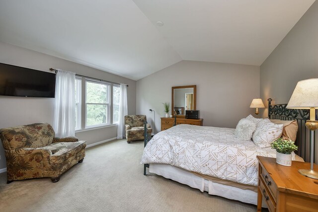 375 Ridge Rd, North Aurora, IL 60542 - photo 11