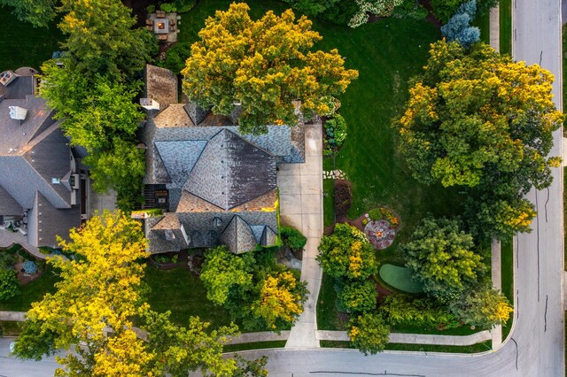 21 Forest Ave, Naperville, IL 60540 - aerial view