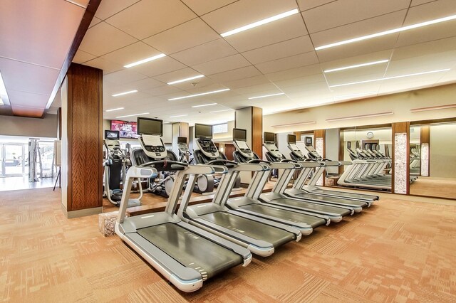400 E Randolph St Unit 1825, Chicago, IL 60601 - exercise room featuring carpet floors and a paneled ceiling