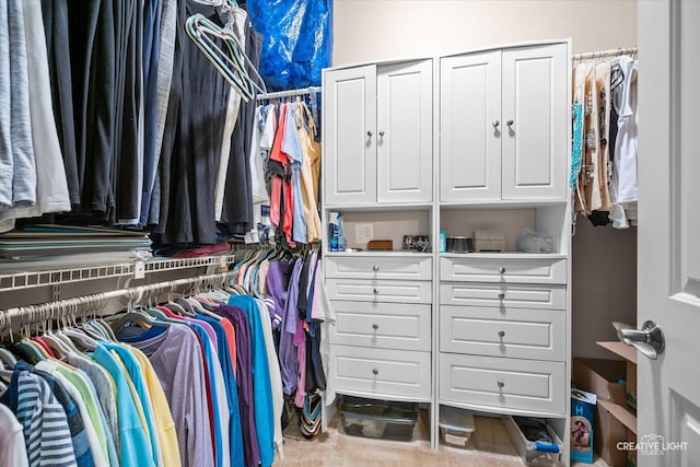 1920 Glenwood Cir Unit B, Sugar Grove, IL 60554 - view of spacious closet