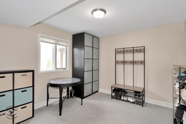 8456 Meadows Edge Trl, Tinley Park, IL 60487 - interior space with light colored carpet and baseboards