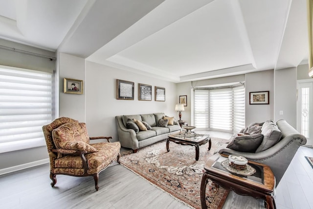 27117 Ashgate Xing, Plainfield, IL 60585 - living area with a raised ceiling and wood finished floors