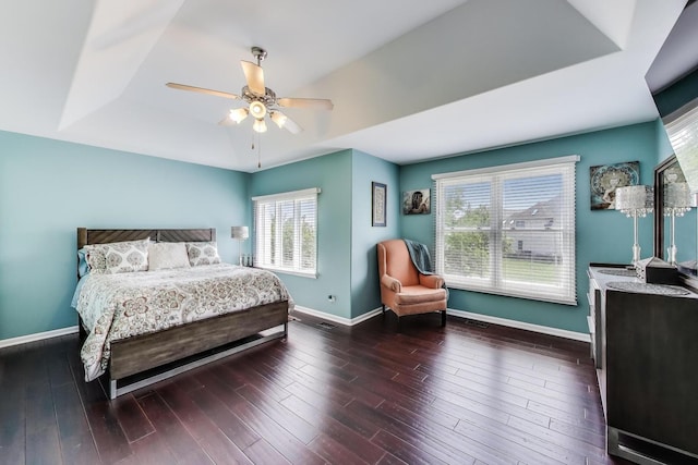 27117 Ashgate Xing, Plainfield, IL 60585 - bedroom with a raised ceiling, wood finished floors, and a ceiling fan