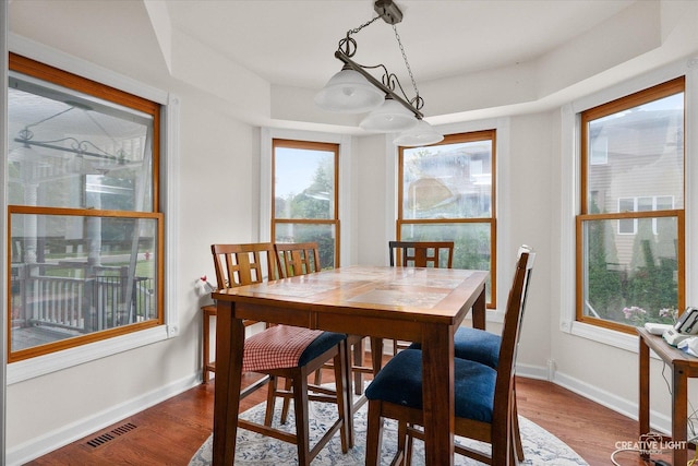 925 Merrill New Rd, Sugar Grove, IL 60554 - dining area featuring plenty of natural light and wood finished floors