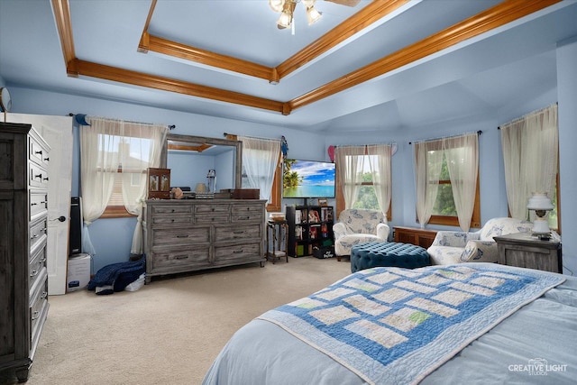 925 Merrill New Rd, Sugar Grove, IL 60554 - bedroom with carpet floors, a tray ceiling, and crown molding