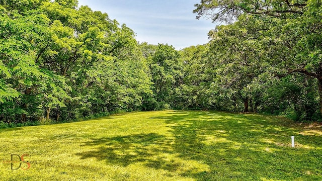 2622 E 28th Rd, Marseilles, IL 61341 - view of grassy yard featuring a view of trees