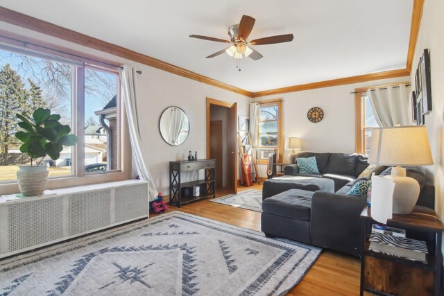 1280 White St, Des Plaines, IL 60018 - living area featuring wood finished floors, radiator, a ceiling fan, and ornamental molding