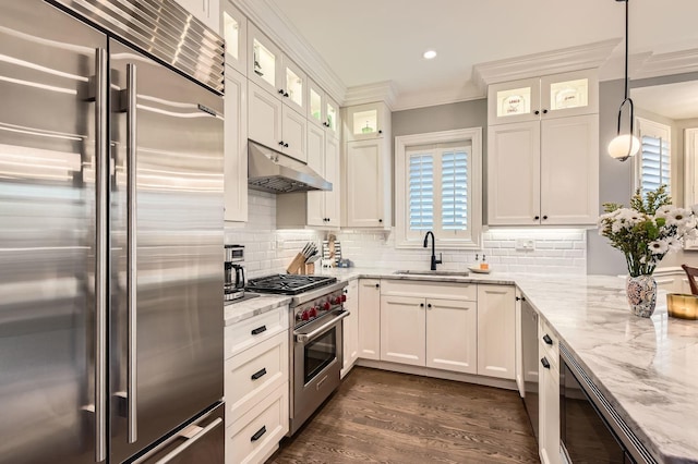 2700 N Wayne Ave Unit 2N, Chicago, IL 60614 - kitchen with high quality appliances, a sink, under cabinet range hood, ornamental molding, and light stone counters