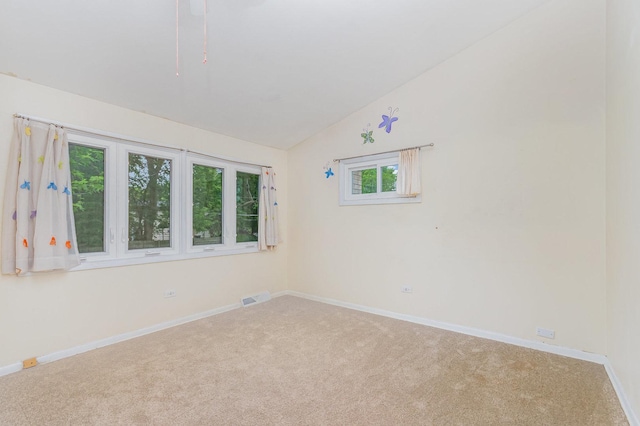 413 Northshore Dr, Mundelein, IL 60060 - photo 15