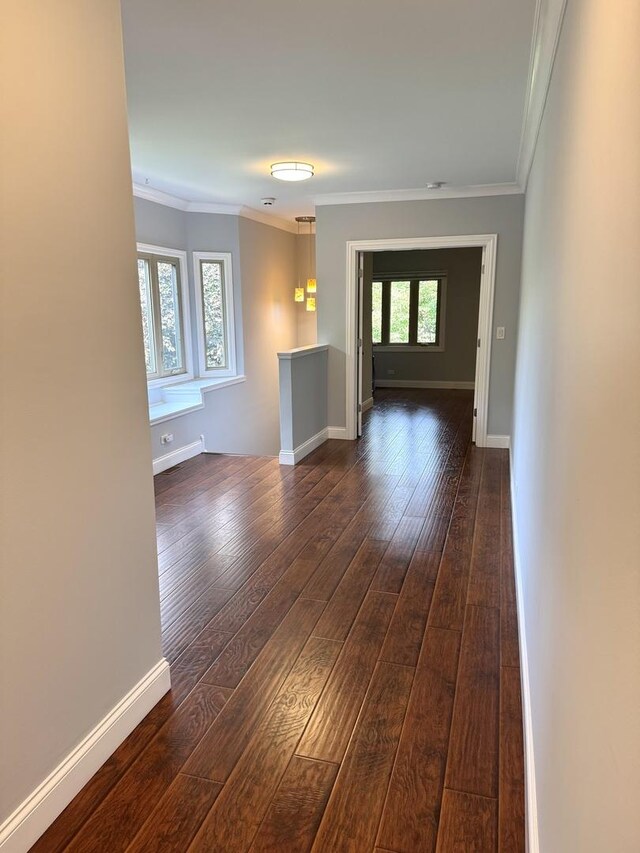 1009 Arbor Ct, Mount Prospect, IL 60056 - photo 16