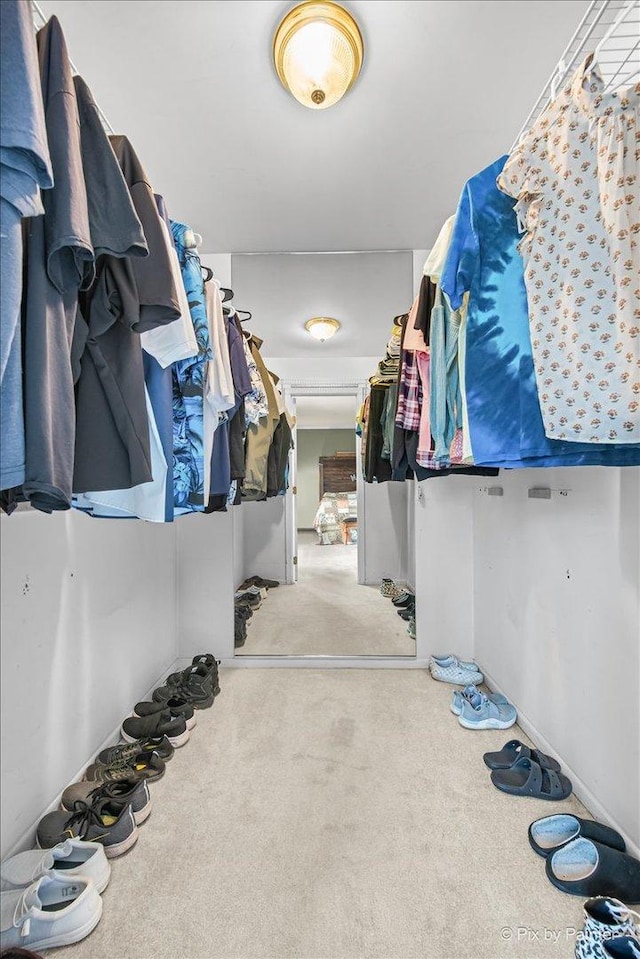 688 Regent Dr, Crystal Lake, IL 60014 - walk in closet featuring carpet floors