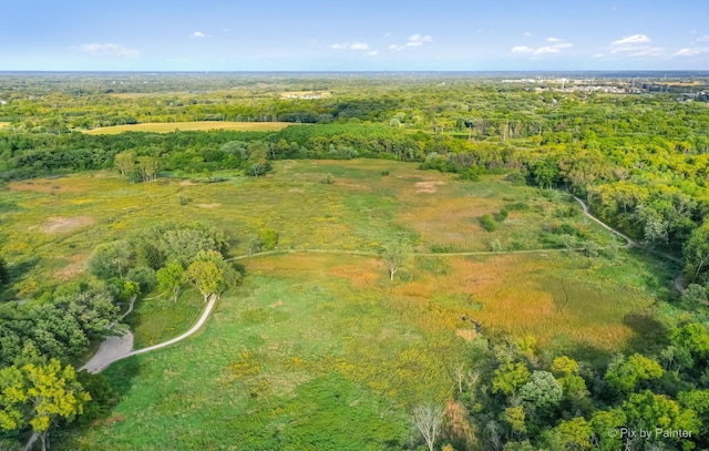 688 Regent Dr, Crystal Lake, IL 60014 - bird's eye view of a heavily wooded area