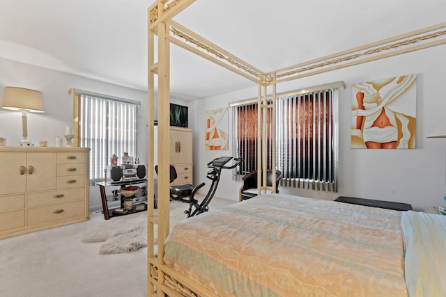 6941 S E End Ave, Chicago, IL 60649 - view of carpeted bedroom