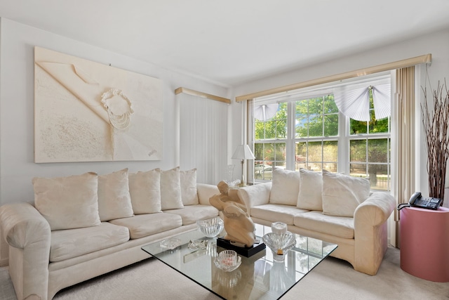 6941 S E End Ave, Chicago, IL 60649 - view of carpeted living room