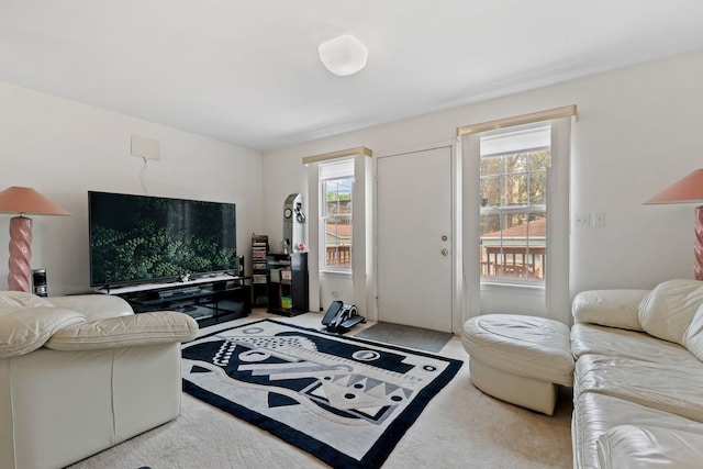 6941 S E End Ave, Chicago, IL 60649 - living area with carpet flooring