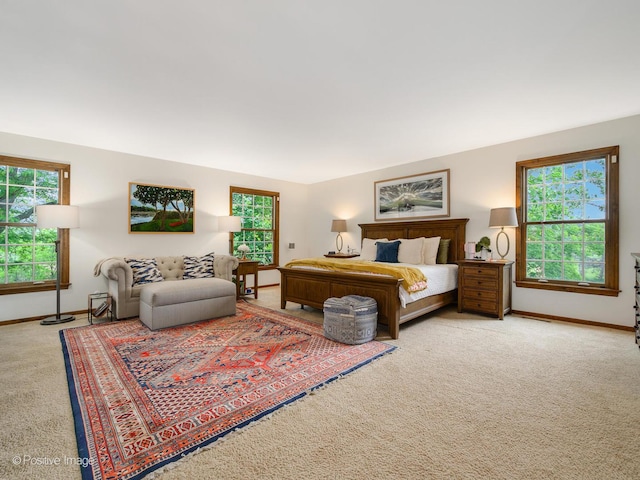 77 Mark Dr, Hawthorn Woods, IL 60047 - carpeted bedroom with multiple windows