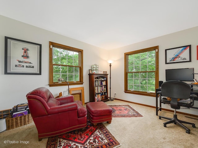 77 Mark Dr, Hawthorn Woods, IL 60047 - carpeted home office with healthy amount of natural light