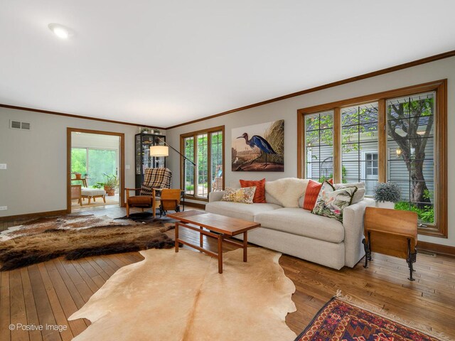 77 Mark Dr, Hawthorn Woods, IL 60047 - living area featuring hardwood / wood-style floors, plenty of natural light, and ornamental molding