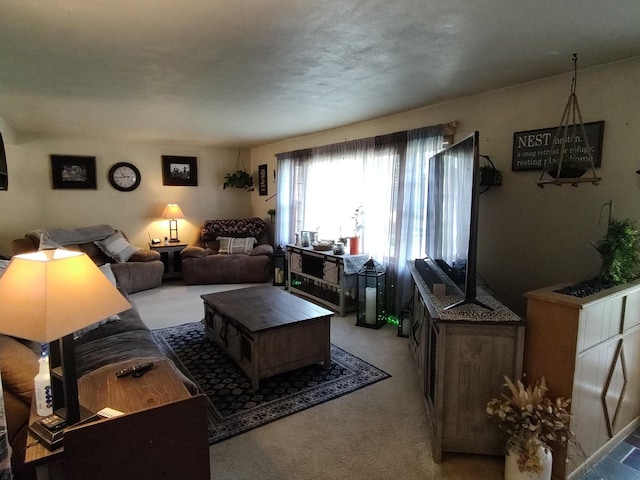 205 Beacon Dr, Belvidere, IL 61008 - view of carpeted living room