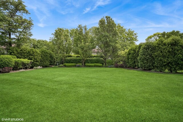 4045 N Harvard Ave, Arlington Heights, IL 60004 - view of grassy yard