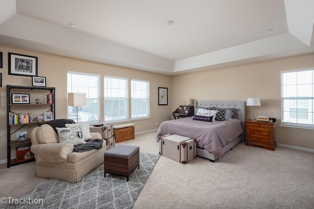 1878 Roseland Ln, Hoffman Estates, IL 60192 - bedroom with carpet and a tray ceiling